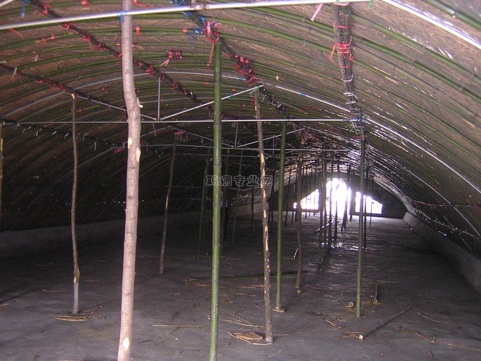 鸡司令新建鸡舍图片和房顶材料使用探讨