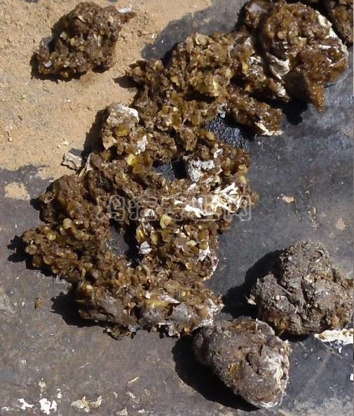 请问这样的鸡粪 算不算过料呢?