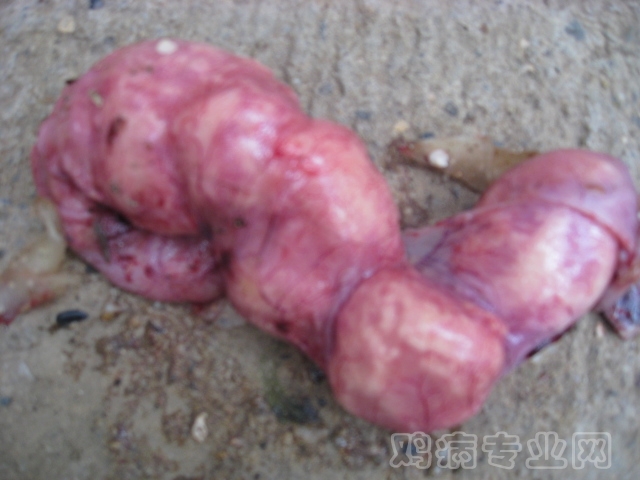 求解答!
