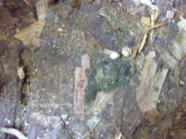 284_152997_cc33f9f7706b1a7.jpg?115