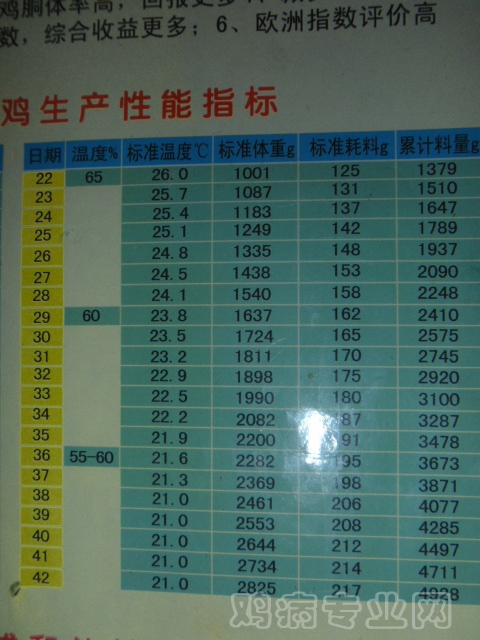 310_98570_66a1208c4932d16.jpg?170