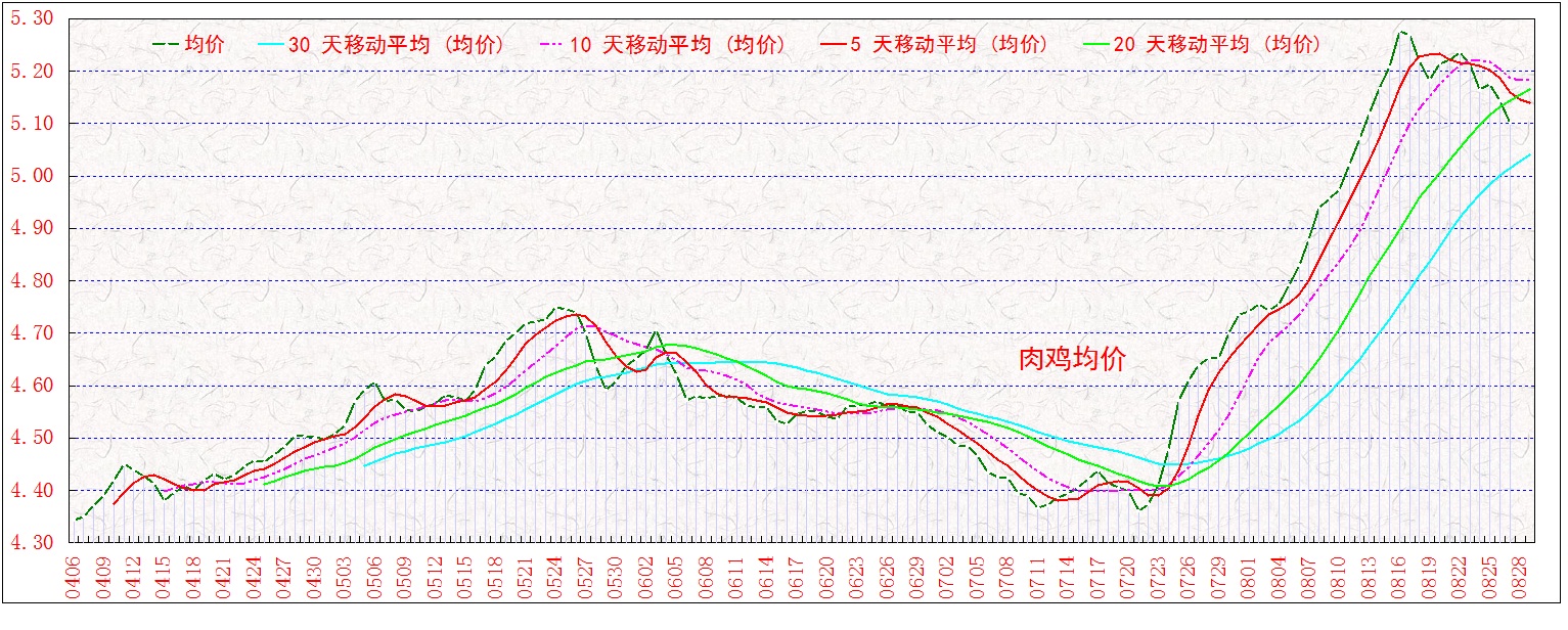 ⼦       0827.jpg