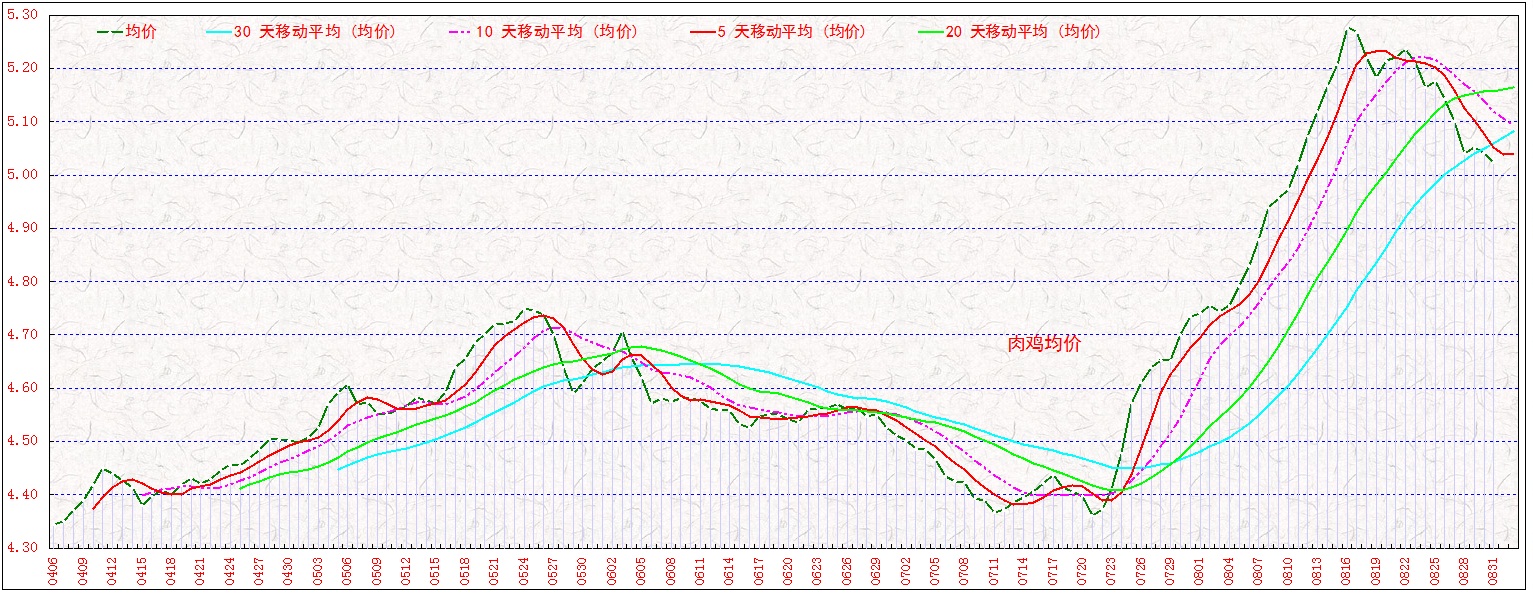 ⼦       0831.jpg