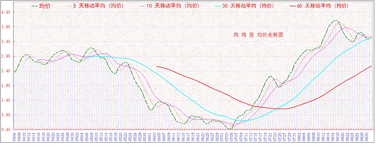 ⼦0831.jpg