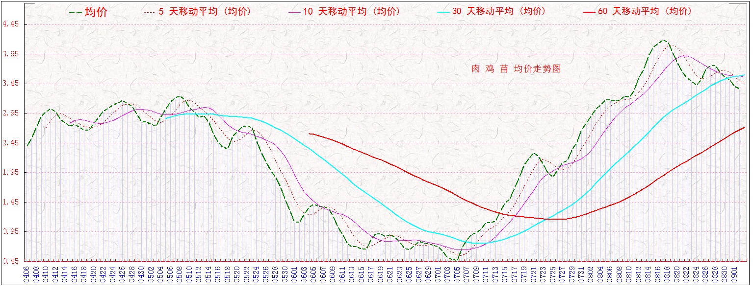 ⼦0902.jpg