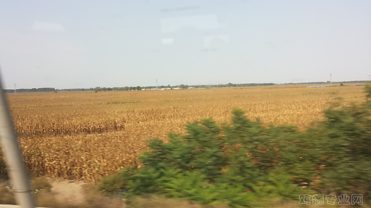 20140913_111213.jpg