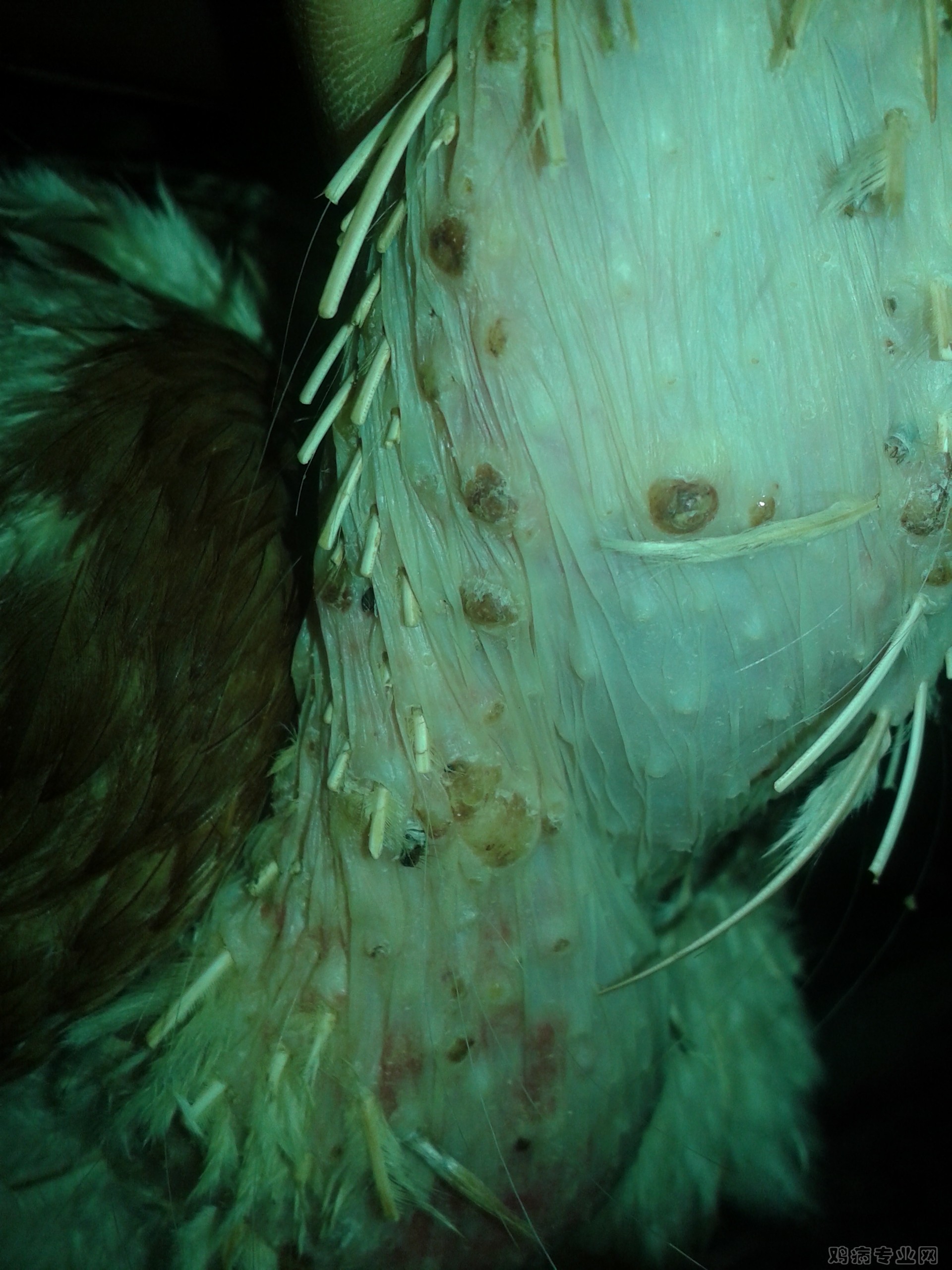 20141008_122552.jpg