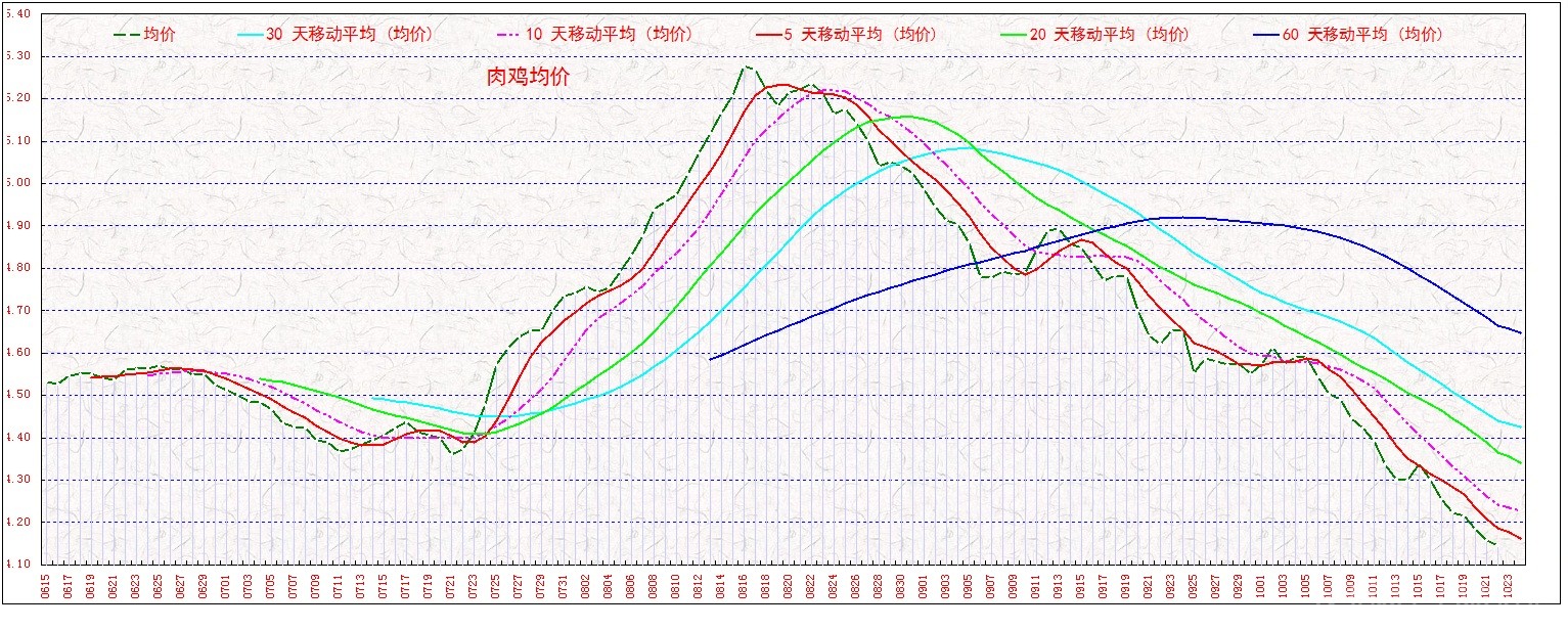 ⼦       1022.jpg
