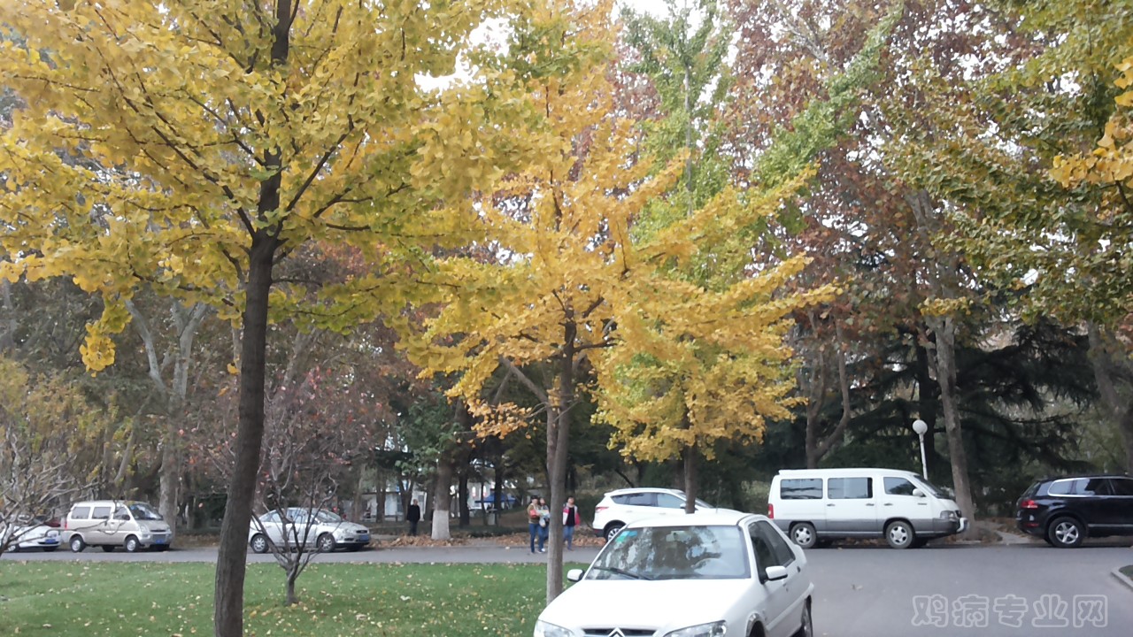 20141029_170652.jpg