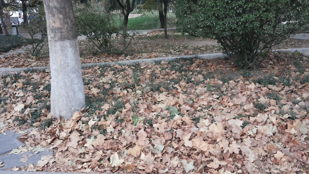 20141029_170725.jpg