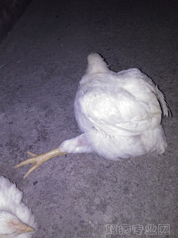 210922kg9xsozi1sf8jxl1.jpg