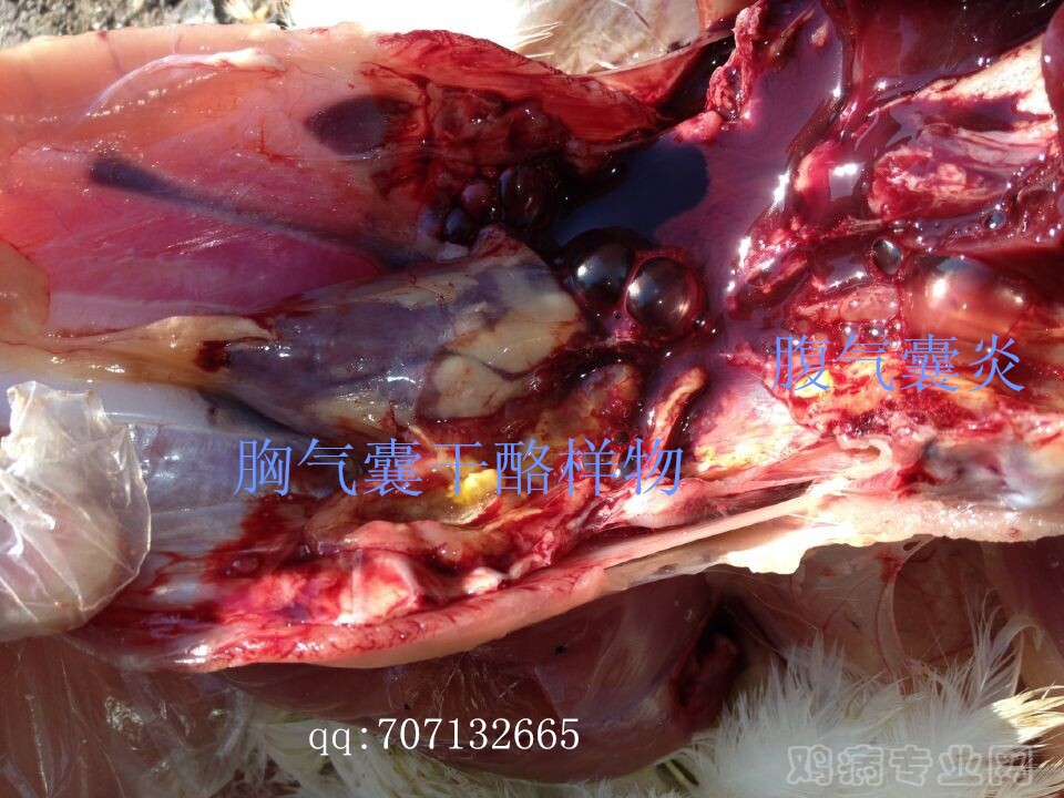 QQͼƬ20141101162004__.jpg