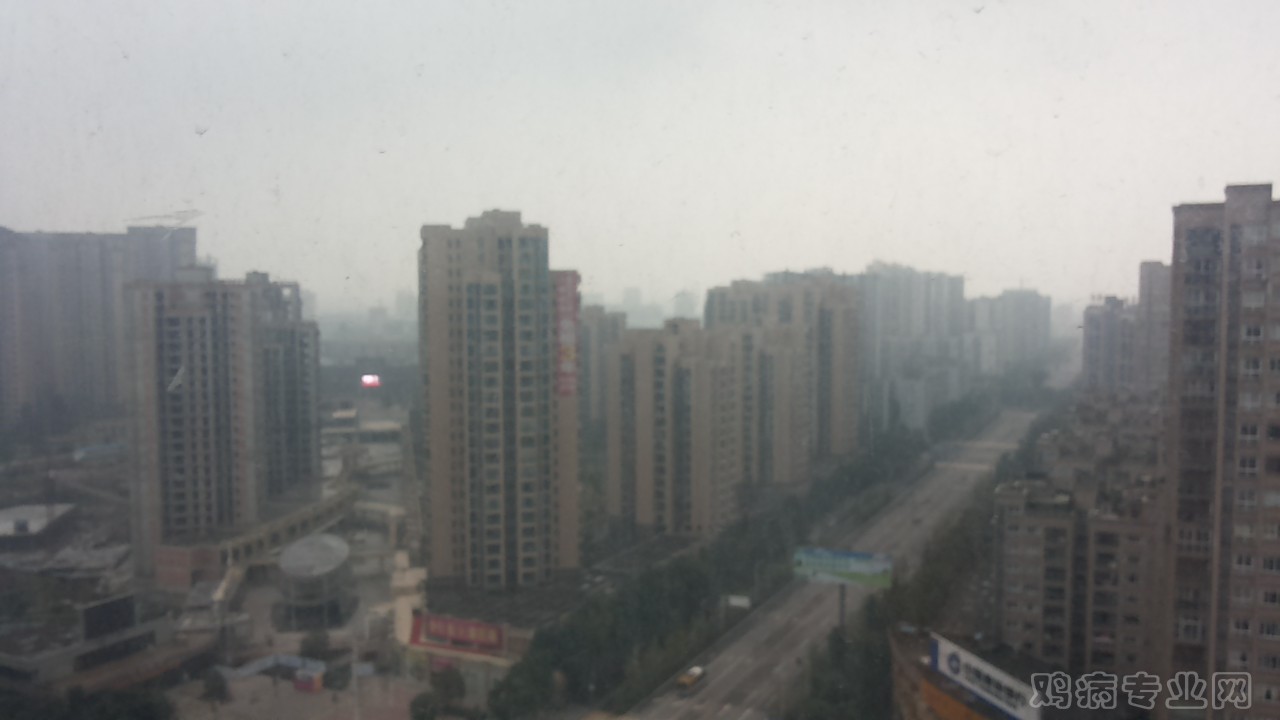 20141115_170323.jpg