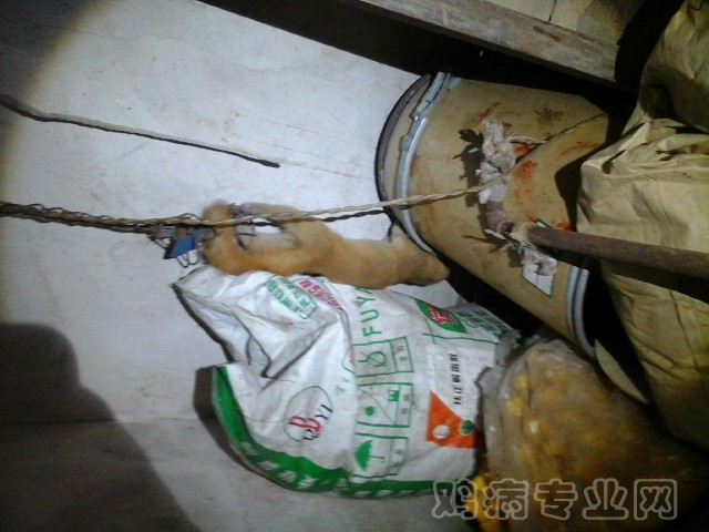 235433vwy7fu3378m0870r.jpg
