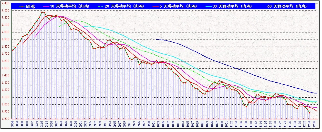 ⼦      1204.jpg