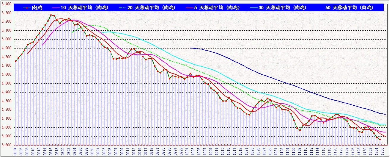 ⼦      1205.jpg
