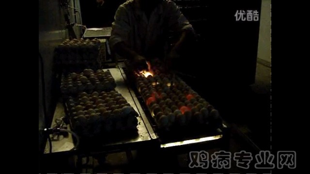 120951zfa0lcafwtxzt3yz.png