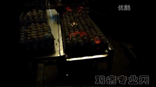 120953lxhhf4g4kipbkiic.png