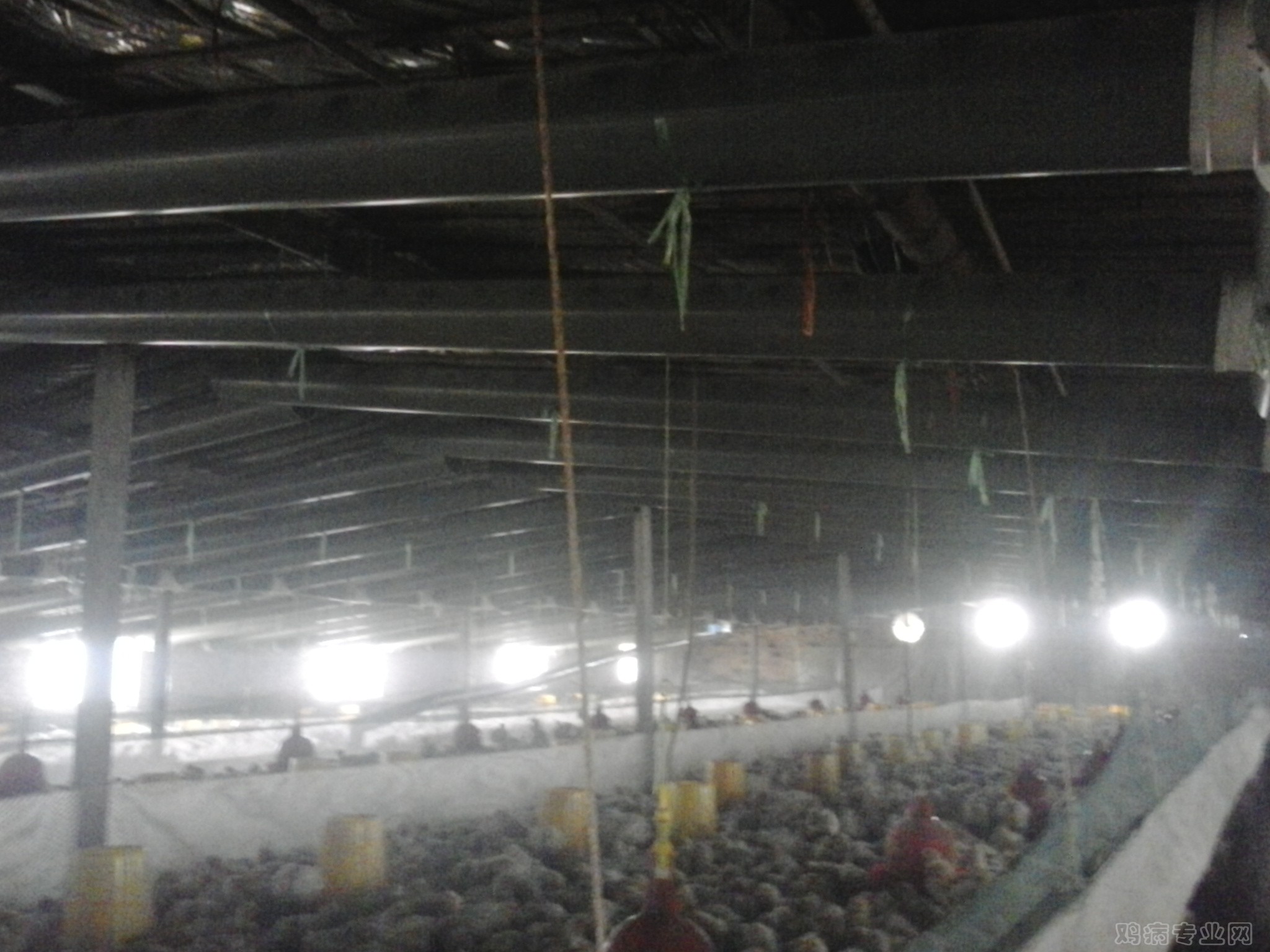 20141207_131519.jpg