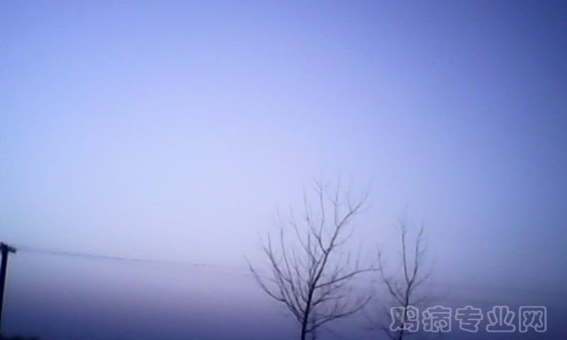 142937l0oe3ky3xrgemoof.jpg
