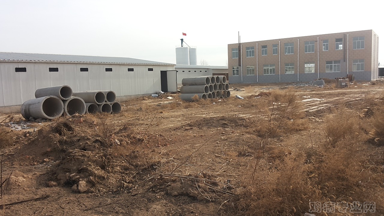 20150106_121234.jpg