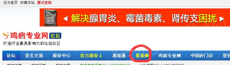QQͼƬ20150210165812.png