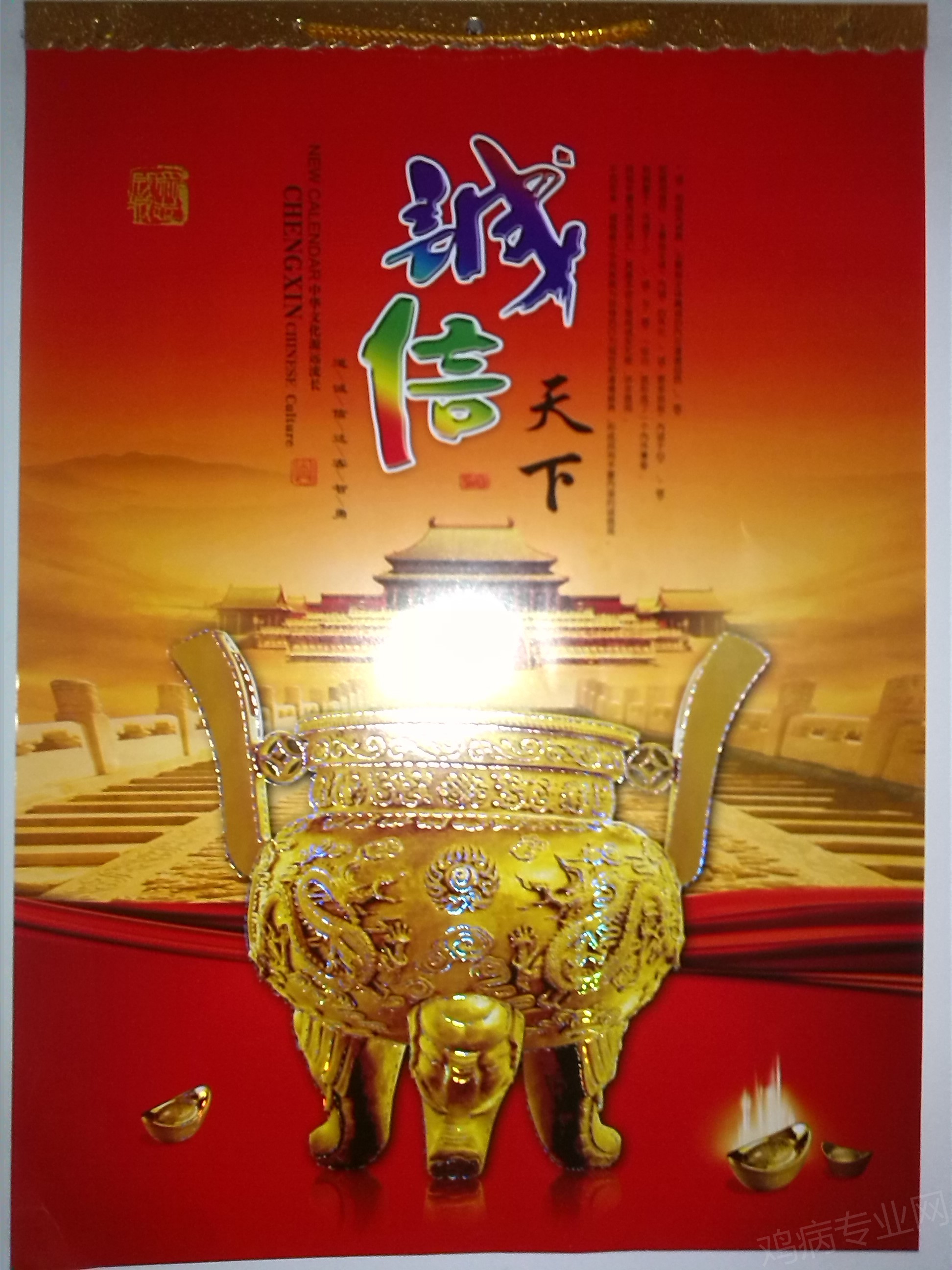 IMG_20150221_144415.jpg