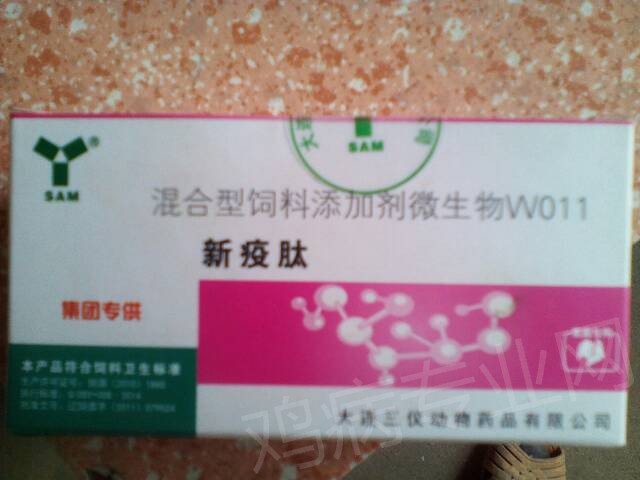 125301c9m9y1kqzy6onnhw.jpg
