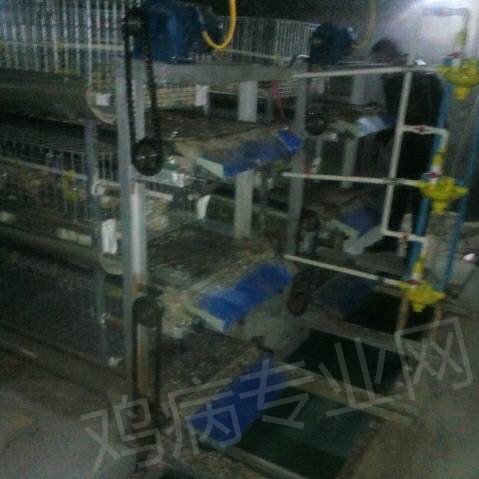 173757lvsbcxw8sxwbxcot.jpg