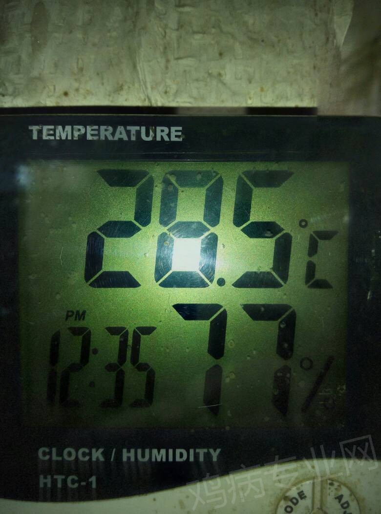 111154ylimlzgwgiy4mx77.jpg