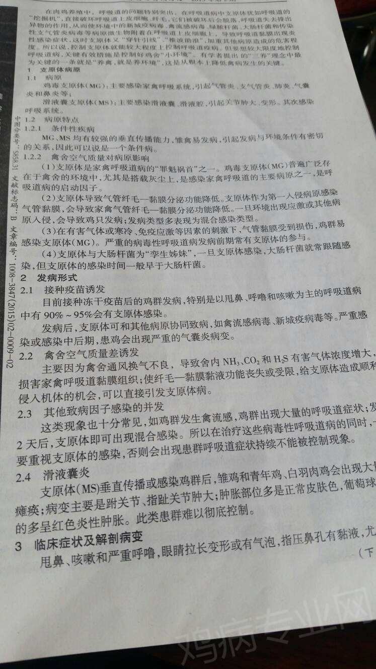 082656f3v636pq6yqwq8yy.jpg