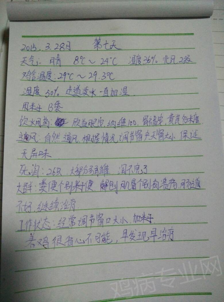 191537enwgwpekkp1newpp.jpg