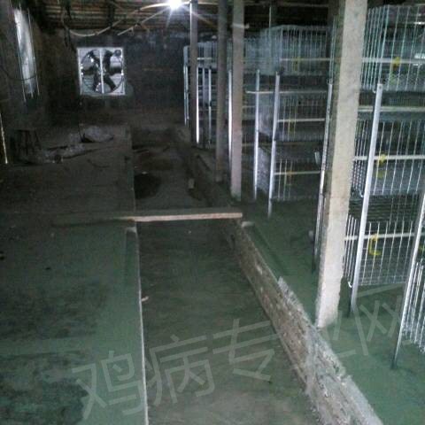 133417y2bg8zbzs42r9rrn.jpg