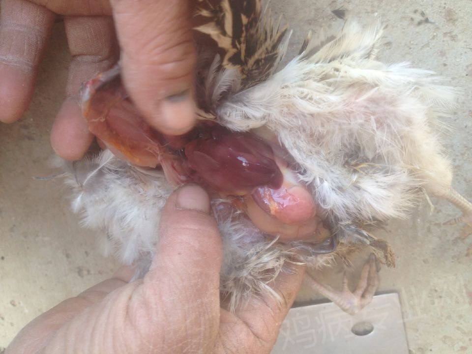 QQͼƬ20150416234003.jpg