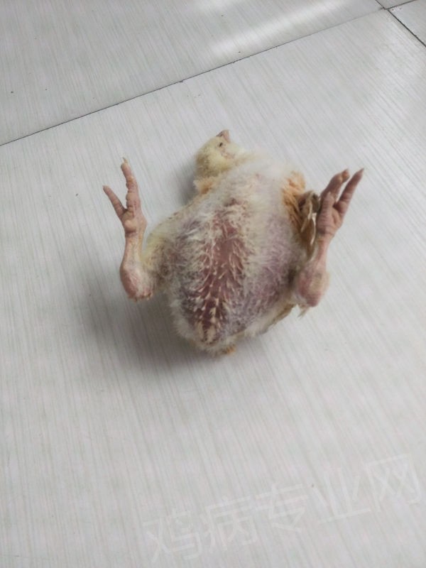 235199