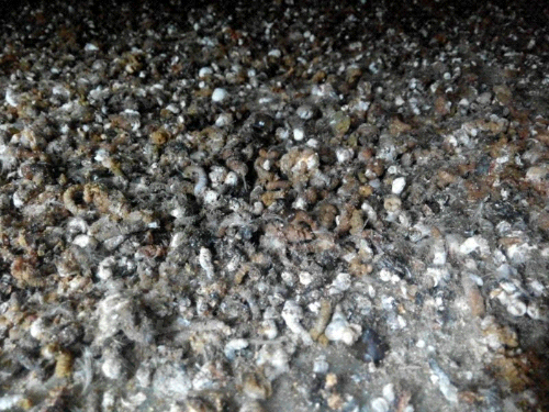 UC_Photo_003.jpg