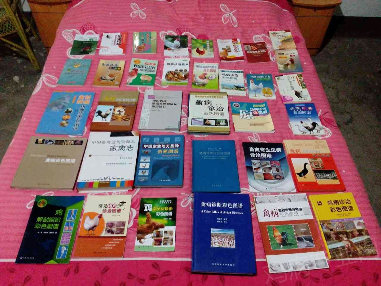 mmexport1431689880237.jpg