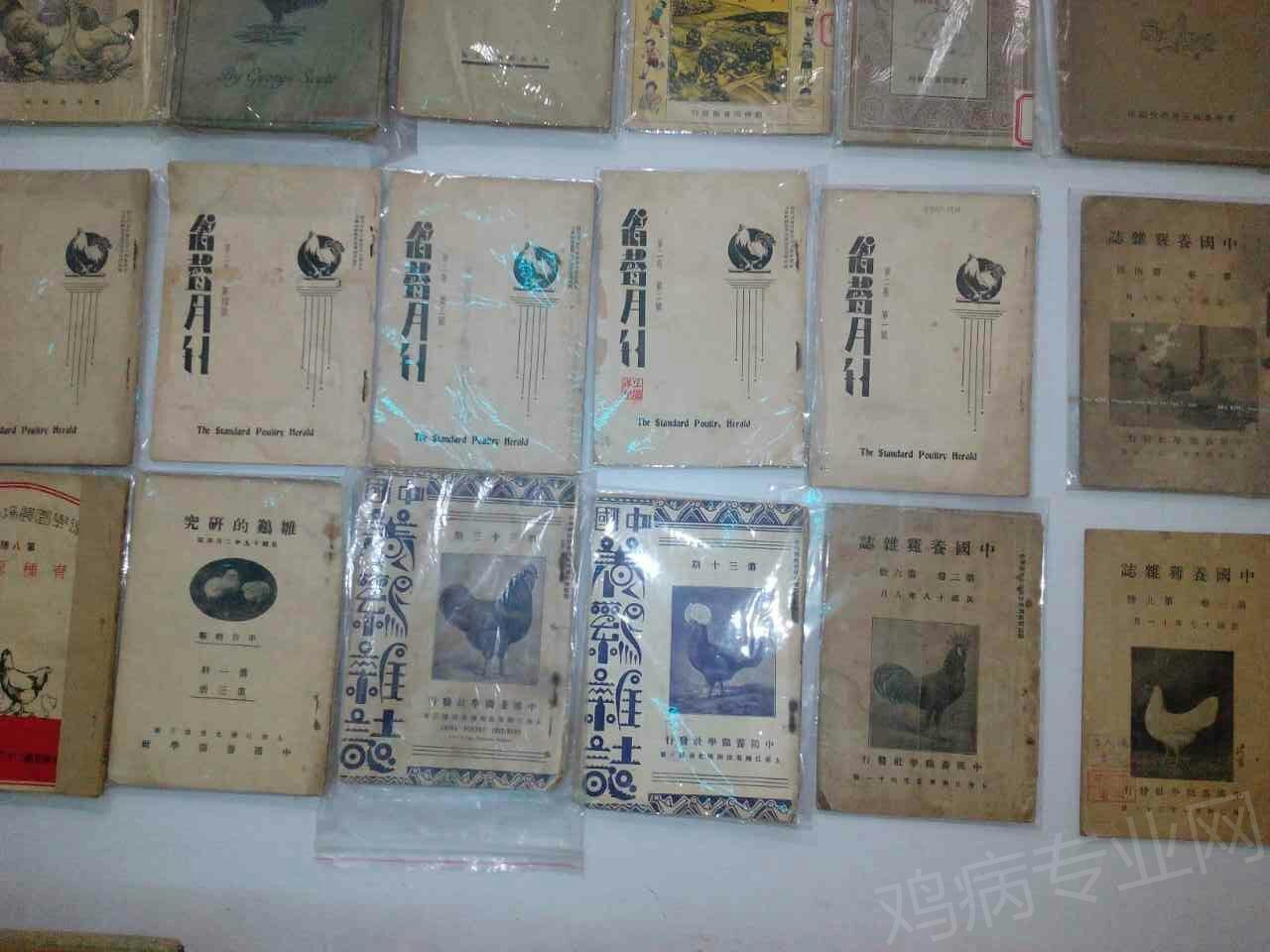 mmexport1431689887076.jpg