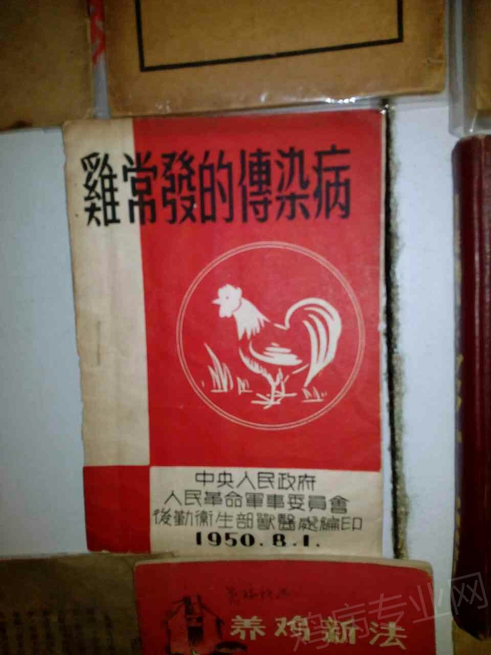mmexport1431689926659.jpg