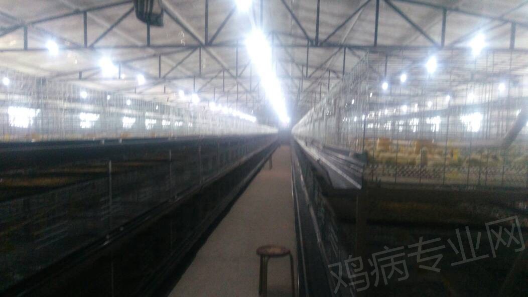 130614hmwhw8x1aofo9m8u.jpg