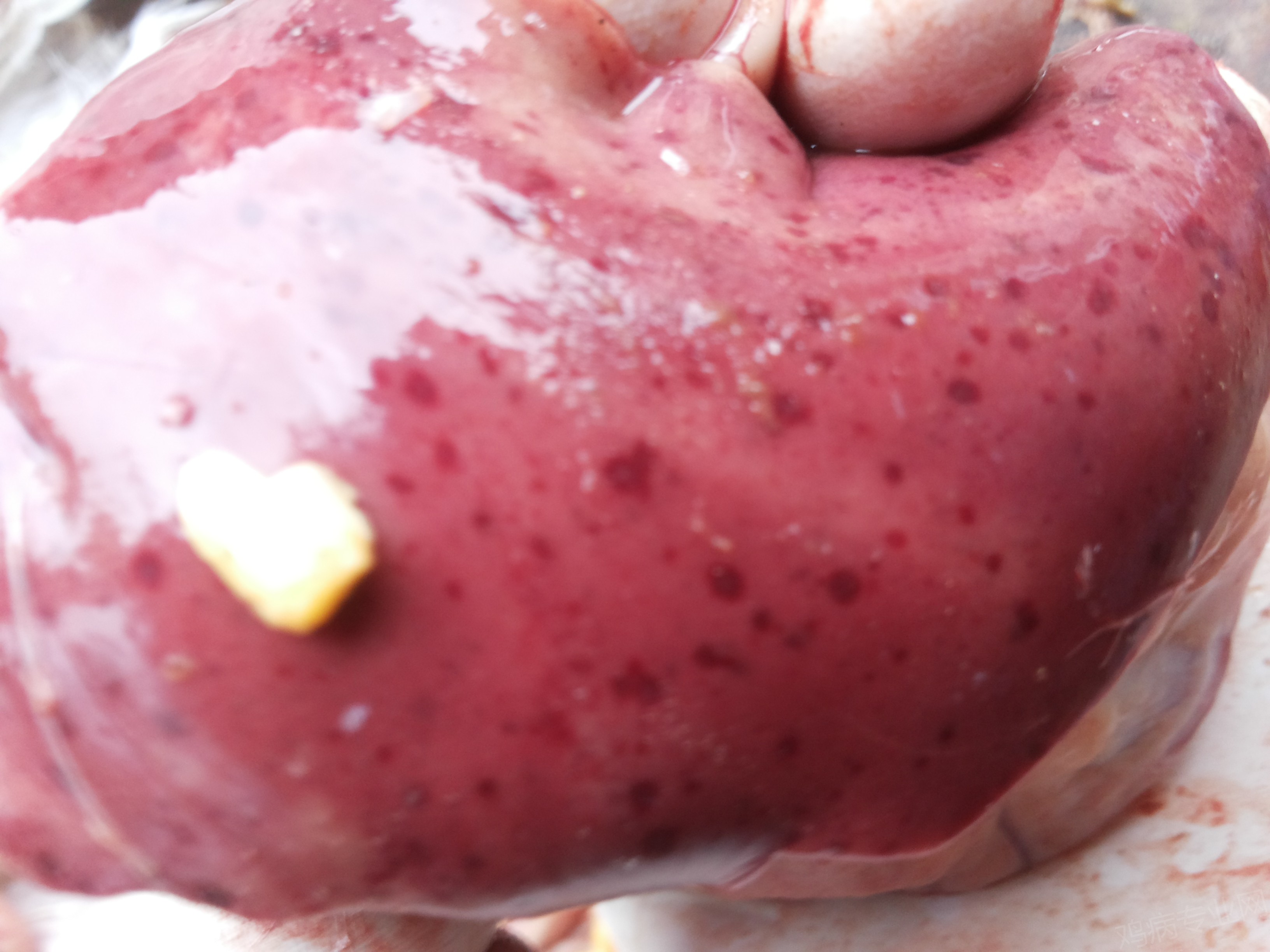 20150819_154419.jpg