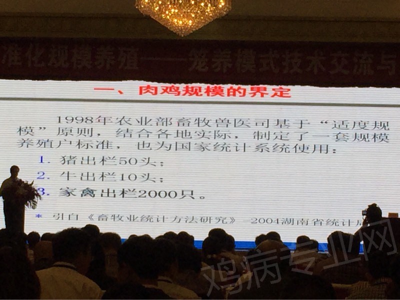 095902t1ub8f6hthkhba8k.jpg