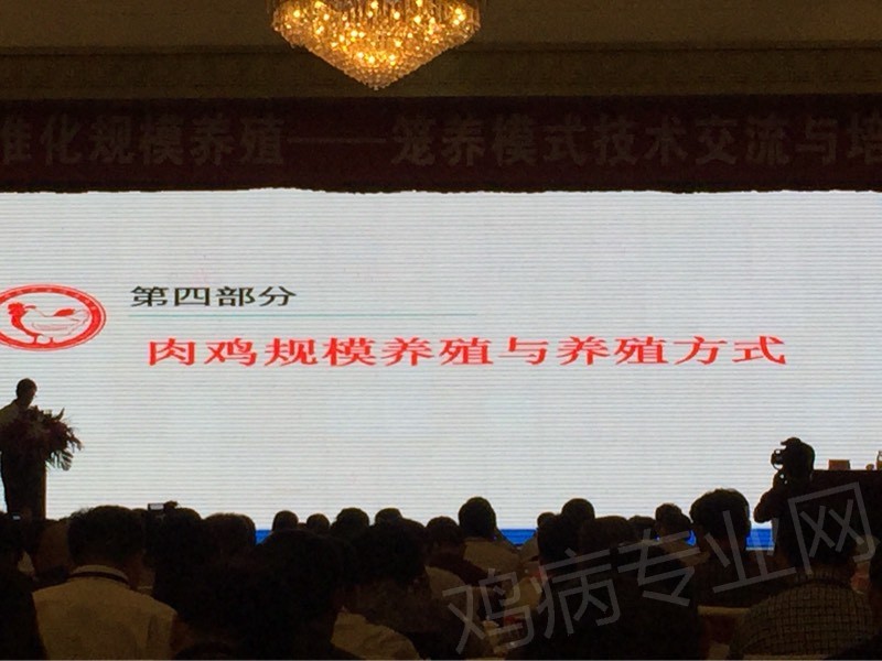101041ooj1hkdzo14sdgyh.jpg