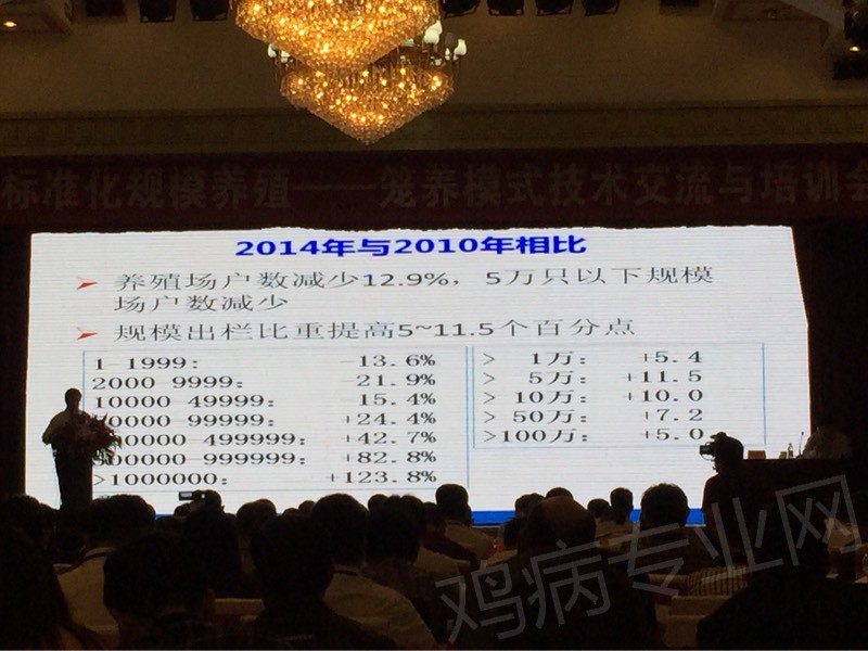 101041x2mr8h60v9go4b6m.jpg