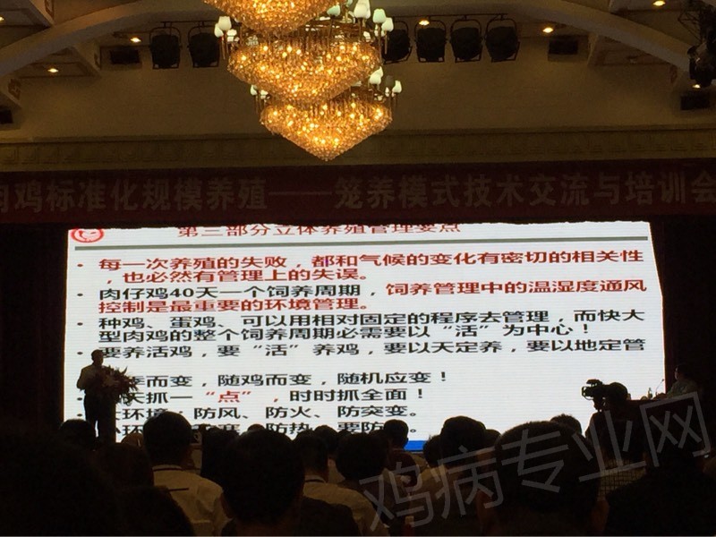 103217kr3ok4ocacpnxwqk.jpg