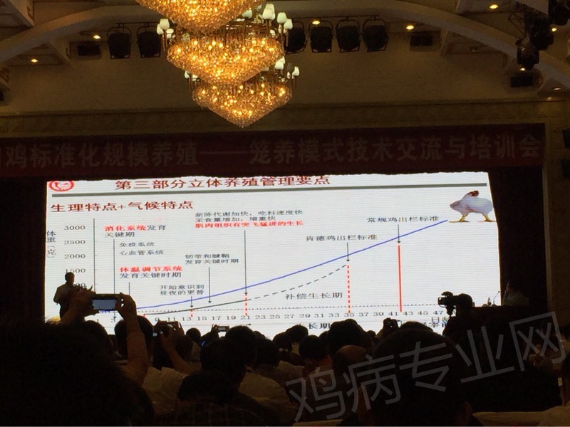 103217ptc797djldrflbdl.jpg