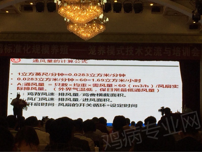 104811aqvb8fowjb8a7v8d.jpg