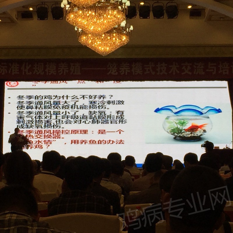105515g3yspd177gadapyu.jpg