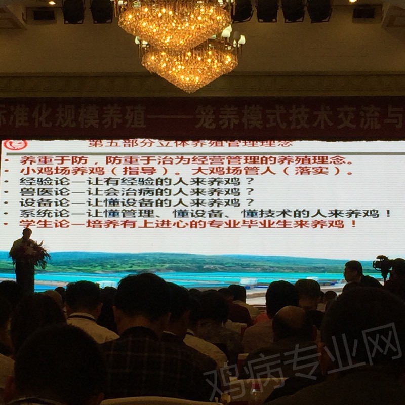 105515lp60ct1hvq414pci.jpg