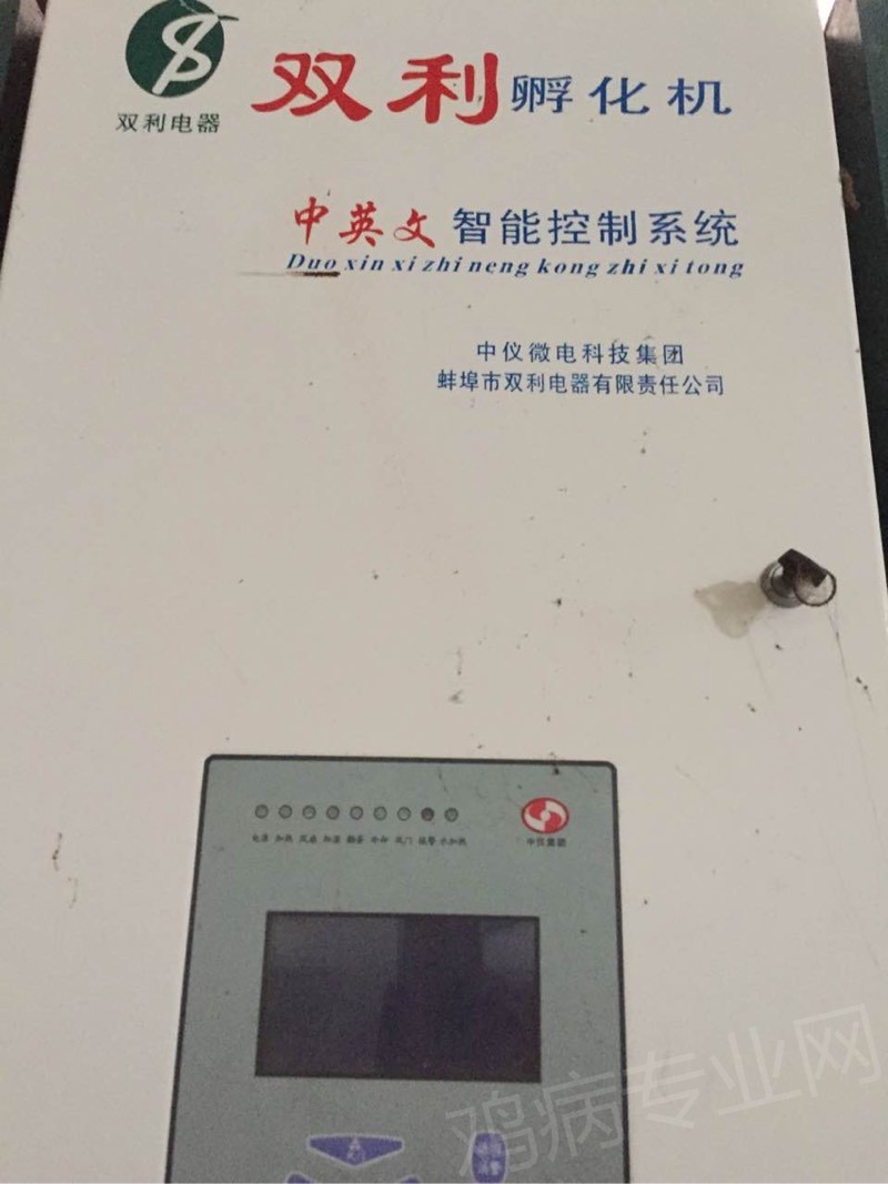 195709wn2n9grrn26scvga.jpg
